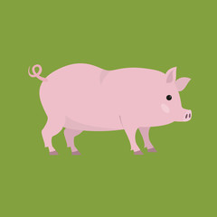 Cute pig on green background.