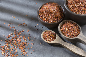 Red seeds of organic quinoa - Chenopodium quinoa