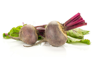 Red beet with cut tops two young bulbs and green leaves isolated on white background.