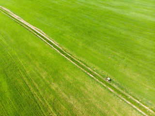 aerial view. bicyclist riding green field. trail road