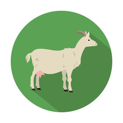 Cute goat on green background.