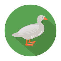 Cute duck on green background. Vector illustration.