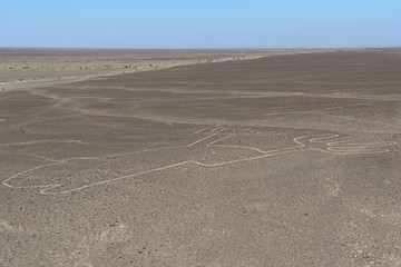 The Frog Nazca Line seen from observation deck, Peru