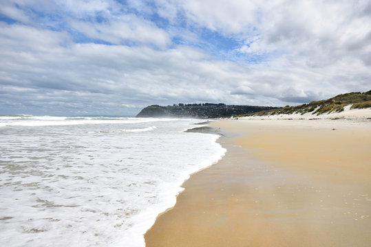 Dunedin Strand