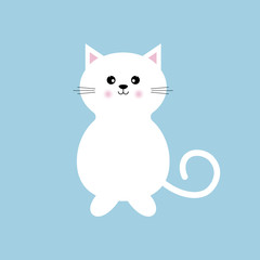 White kitty isolated blue background.
