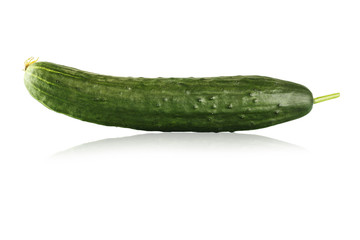 fresh cucumber isolated