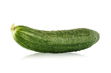 farm cucumber is isolated