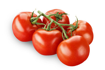 tomatoes on a branch isolated
