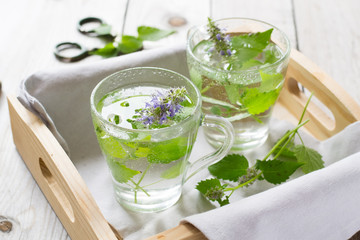 Melissa infuse water in  glasses