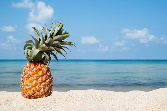 Summer tropical landscape with pineapple on the white sand beach on the background of blue sea and sky on a sunny day, with copy space.