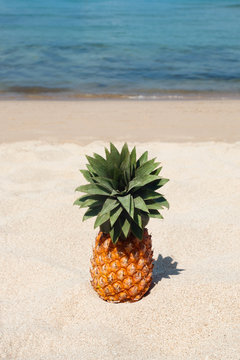 Summer tropical landscape with pineapple on the white sand beach on the background of blue sea on a sunny day.