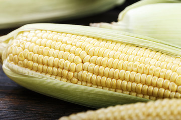 young corn as a background