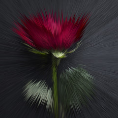 Abstract rose
