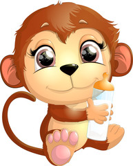 beautiful cute monkey