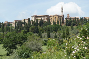 Fototapeta na wymiar The enchanted Val d'Orcia, Siena, Tuscany, Italy