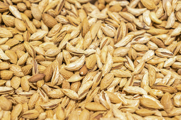 Background of shelled spanish almonds, seen from directly above and in full frame. Macro shot. unpeeled almonds