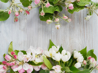 Flowers of a blossoming apple-tree on a wooden bleached background, top view, flat layout. concept spring, summer, Mother's Day holiday, March 8. 