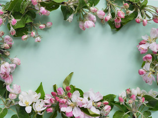 Fototapeta na wymiar Flowers of an apple tree on a turquoise, blue background, top view, flat lay. concept spring, summer, Mother's Day holiday, March 8. 