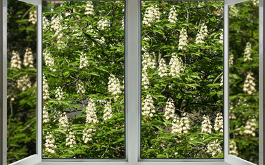 window with view of flowering tree