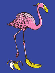Vector illustration with bright flamingo and banana shoes