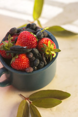 spring strawberry and honeysuckle