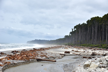 Bruce Bay Beach