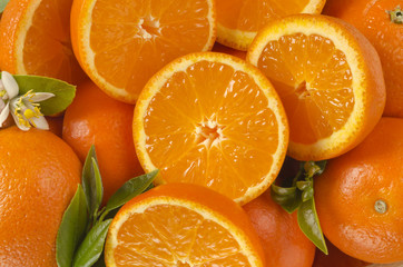 Tangerines up close with leaves
