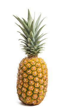 big ripe pineapple isolated