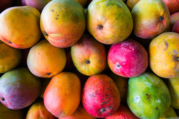 Colorful ripe mangoes