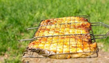 fish B-B-Q  nature food steak healthy diet cooked