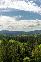Fototapeta na wymiar Aussicht vom Lindigtblick in die Sächsische Schweiz 