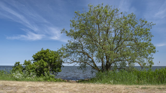 Stettiner Haff