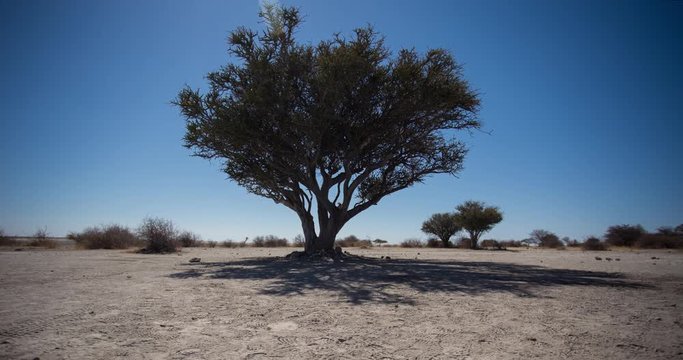 Botswana - Kubu Island (Timelapse 01)