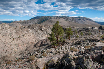 Mono Lake
