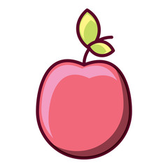 apple fruit icon over white background, vector illustration