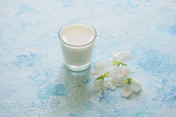 Obraz na płótnie Canvas A glass of fresh milk on a blue table with spring flowers. Nectar of spring.