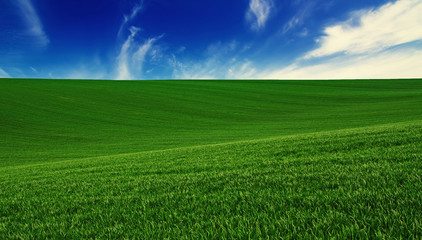 Obraz premium Abstract natural idyllic background with green grass and cloudy blue sky
