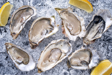 Fresh opened oyster with sliced lemon offered as top view on crushed ice