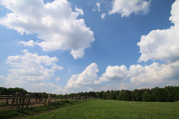 Fototapeta na wymiar Traumhafte Wolken über den Pferdeweiden 1