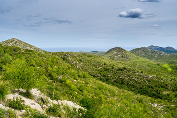 Fototapeta na wymiar Mallorca, Wide green mountain nature landscape and sea horizon in daytime