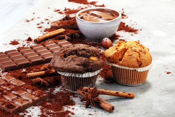 Chocolate muffin and nut muffin, homemade bakery on grey background