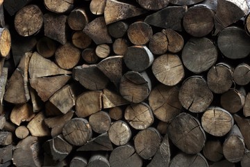 A pile of firewood