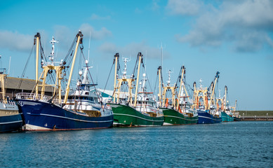Naklejka premium Oudeschild harbor with docked fishing boats in Texel, the Netherlands.