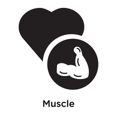 Muscle icon vector sign and symbol isolated on white background