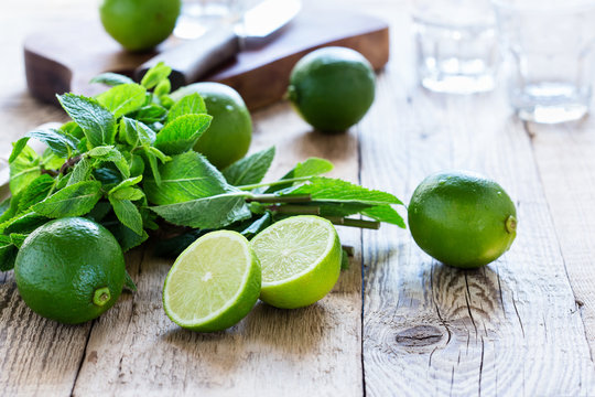 Ingredients for making  summer drink mojito