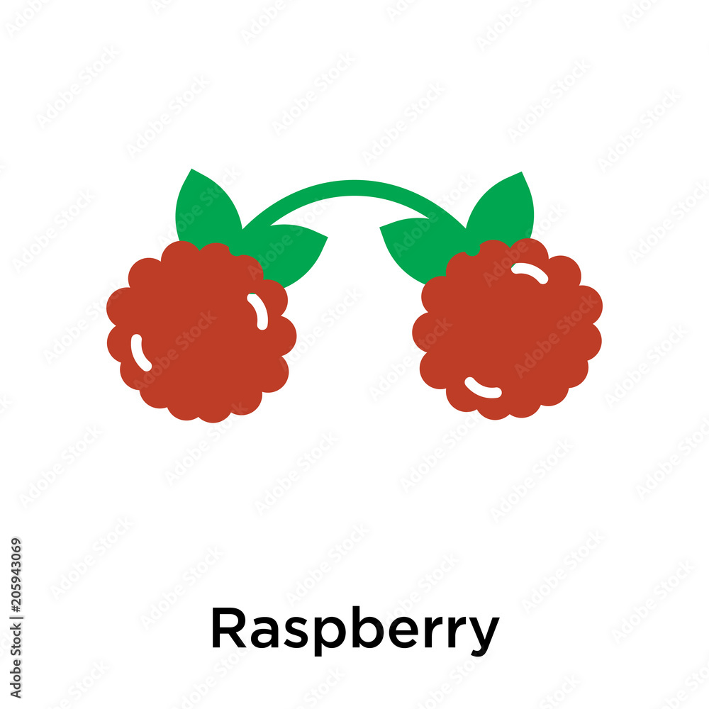 Poster raspberry icon vector sign and symbol isolated on white background