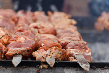Marinated barbecue meat on skewer. Shish kebab or Shashlyk meaning skewered meat. Beef or pork on grill on an open fire. Street food, picnic concept