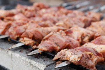 Marinated barbecue meat on skewer. Shish kebab or Shashlyk meaning skewered meat. Beef or pork on grill on an open fire. Street food, picnic concept
