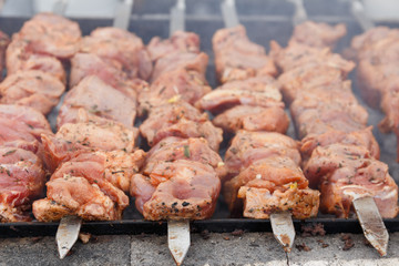 Marinated barbecue meat on skewer. Shish kebab or Shashlyk meaning skewered meat. Beef or pork on grill on an open fire. Street food, picnic concept