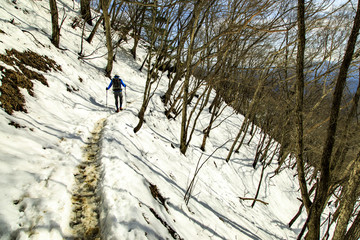 雲取山 七ツ石山 37